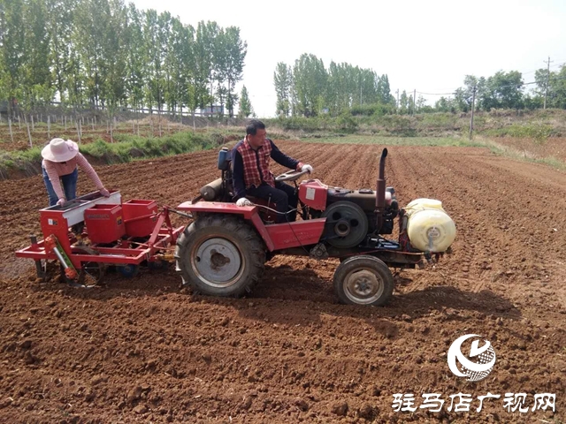 泌陽農民春播春種田間忙