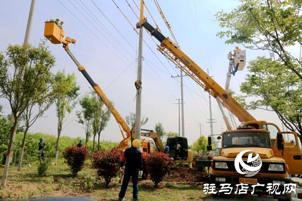 泌陽縣供電公司作業不停電 服務地方發展