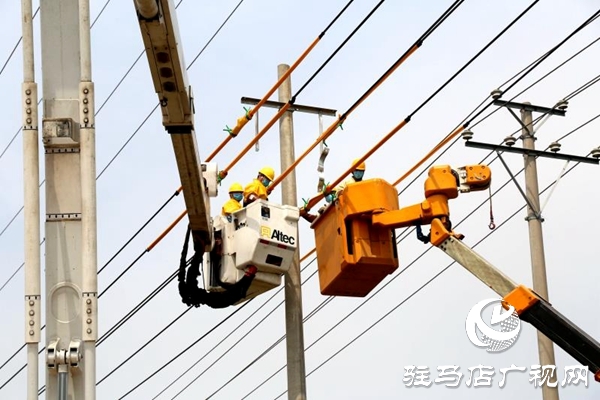泌陽縣供電公司作業不停電 服務地方發展