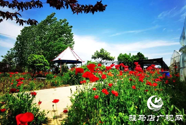 余長(zhǎng)旺：下崗再創(chuàng)業(yè)，成就人生夢(mèng)