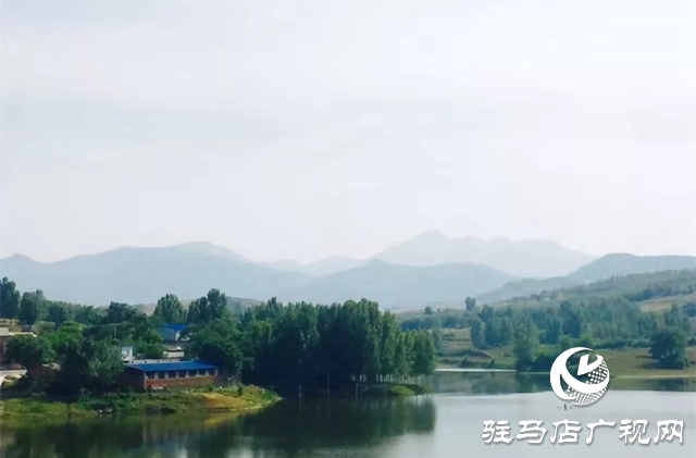 泌陽縣王店鎮(zhèn)：美麗&ldquo;香&rdquo;村聞名四方成為旅游網(wǎng)紅打卡地