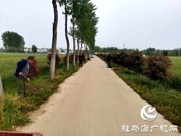 汝南縣板店鄉(xiāng):人人參與 共建美麗宜居鄉(xiāng)村