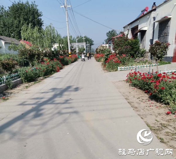 汝南縣板店鄉(xiāng):人人參與 共建美麗宜居鄉(xiāng)村