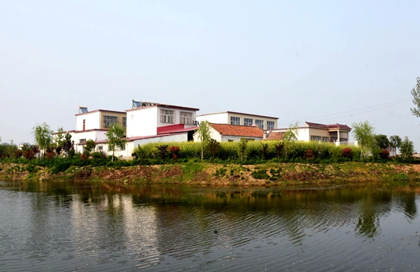 汝南縣王崗鎮朱莊村：這里和城里沒兩樣