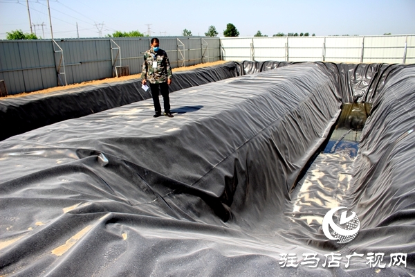 汝南縣古塔街道：這里的養豬場不再臟