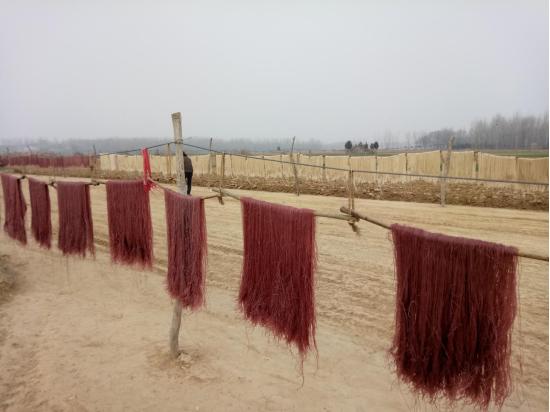 泌陽縣郭集鎮丁莊村第一書記為“三粉”產品代言