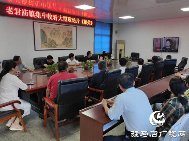 汝南縣各鄉鎮組織觀看政論片《雄關》，補精神之鈣共戰&ldquo;疫&rdquo;