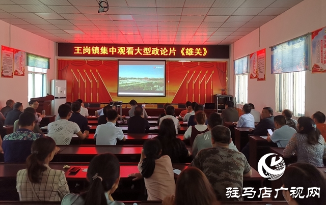 汝南縣各鄉鎮組織觀看政論片《雄關》，補精神之鈣共戰&ldquo;疫&rdquo;