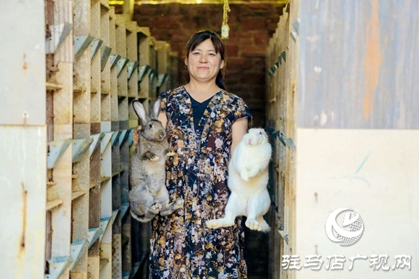 泌陽養殖戶陳宏偉:就想讓鄉親們有錢賺 有事做