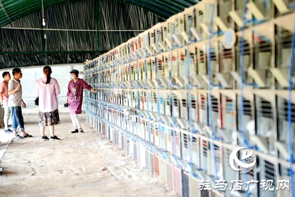 泌陽養殖戶陳宏偉:就想讓鄉親們有錢賺 有事做