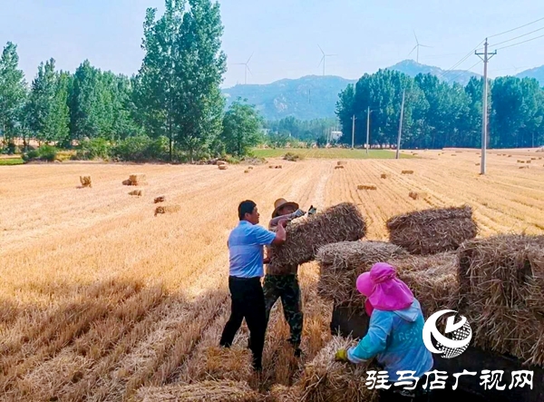 泌陽養殖戶陳宏偉:就想讓鄉親們有錢賺 有事做