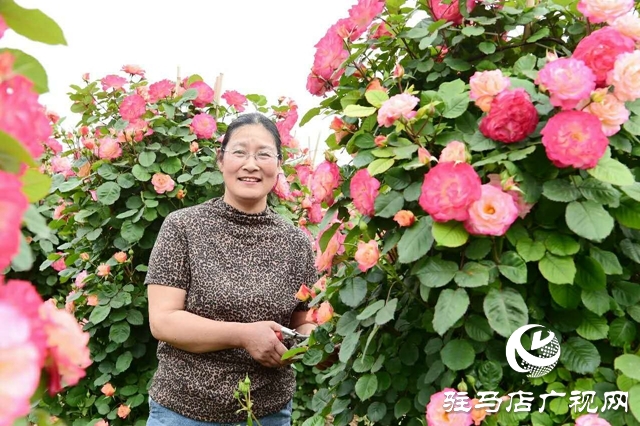 泌陽李春陽：新時代踐行綠色發展思想的巾幗標兵