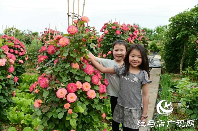 泌陽李春陽：新時代踐行綠色發展思想的巾幗標兵