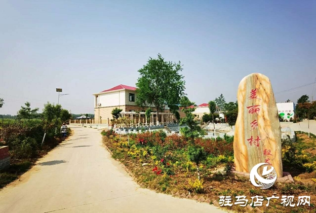 泌陽李春陽：新時代踐行綠色發展思想的巾幗標兵