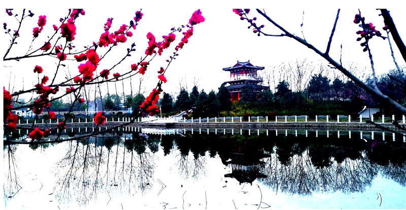 攝影：王線，拍攝于置地公園