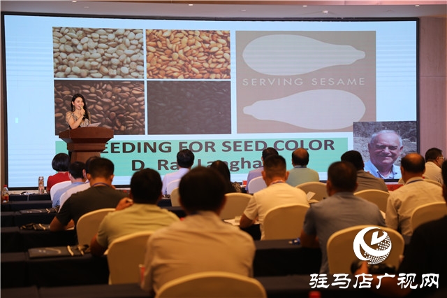 平輿縣召開白芝麻產業高質量發展大會暨產業發展研討會