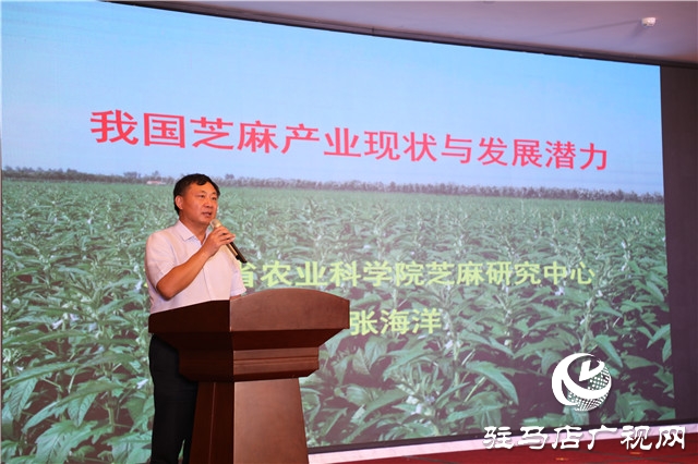 平輿縣召開白芝麻產業高質量發展大會暨產業發展研討會