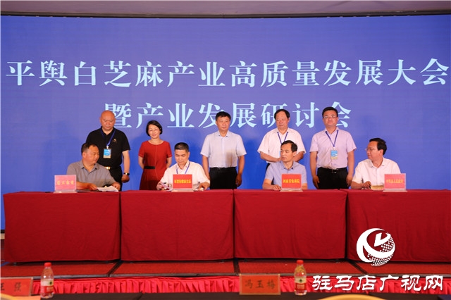 平輿縣召開白芝麻產業高質量發展大會暨產業發展研討會