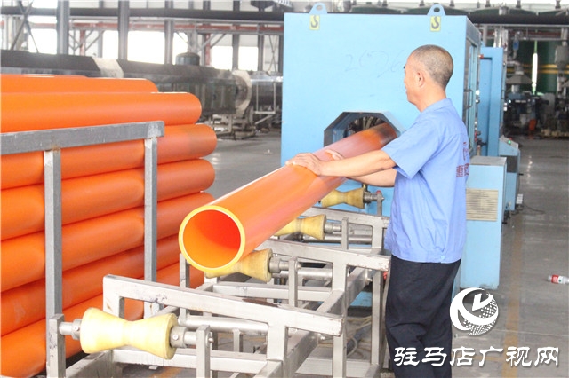 汝南縣人大代表賈陸軍：助力鄉村振興的企業“領軍人”