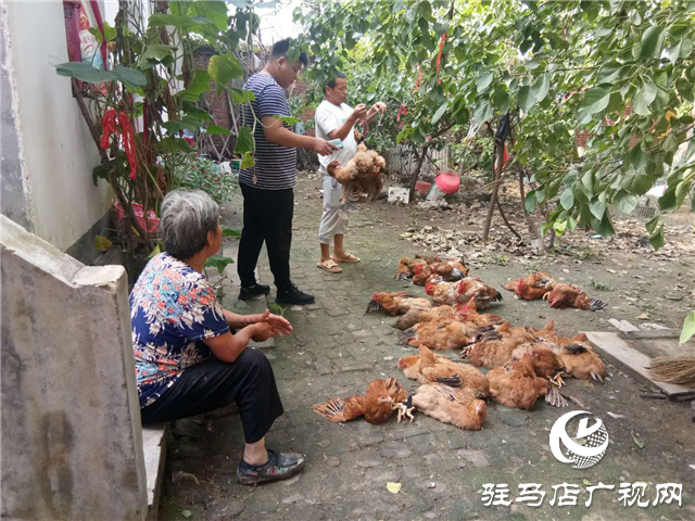 平輿縣玉皇廟鄉：消費扶貧月、群眾喜慶季