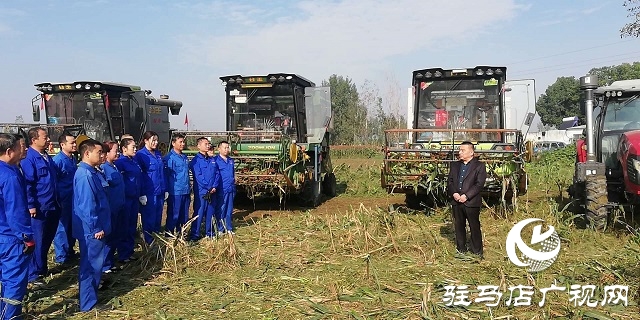 朗陵灌酒打造訂單農業助農增收