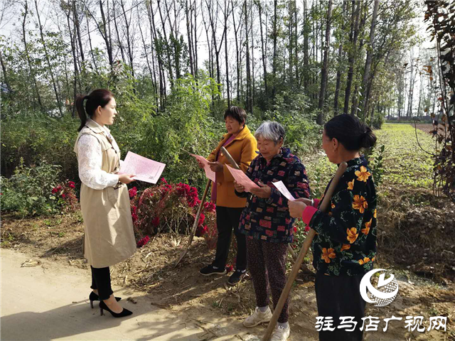 平輿縣玉皇廟鄉開展提升公眾安全感和政法機關執法滿意度宣傳活動