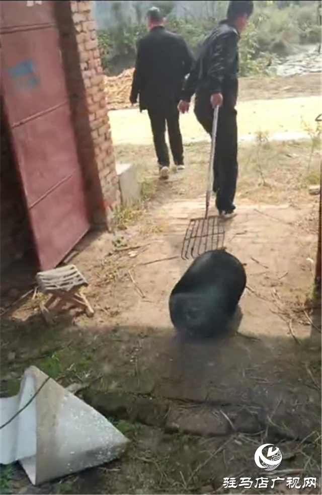 危急時刻，他變身“救火衛士”