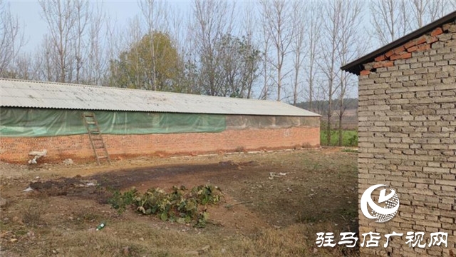 重獲&ldquo;新生&rdquo;，泌陽縣下碑寺鄉曹莊村貧困戶養豬走出致富路