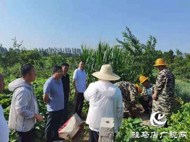 汝南縣板店鄉：全力推進農田水利設施排查整改