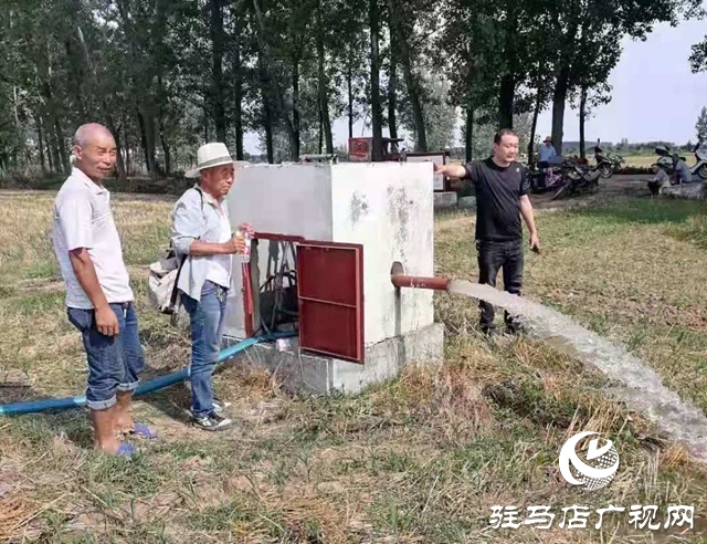 汝南縣板店鄉：全力推進農田水利設施排查整改