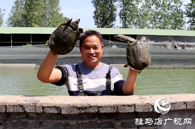 汝南縣板店鄉：水里撈出&ldquo;金元寶&rdquo;垃圾場變身&ldquo;致富塘&rdquo;