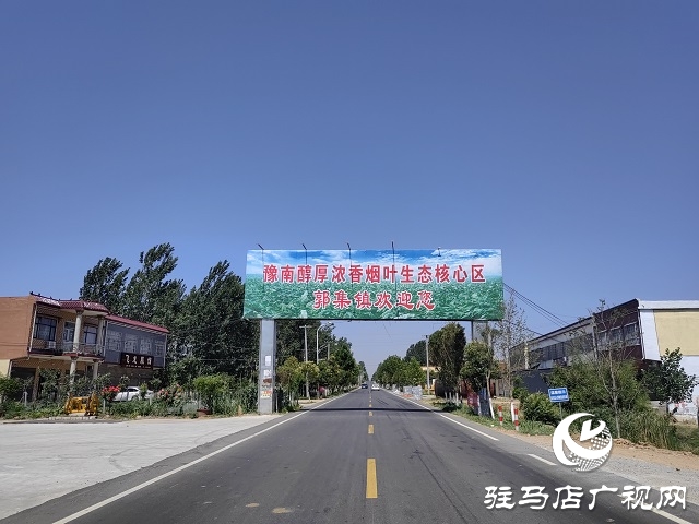 河南泌陽郭集鎮：綠葉變“金葉”點“燃”鄉村產業振興