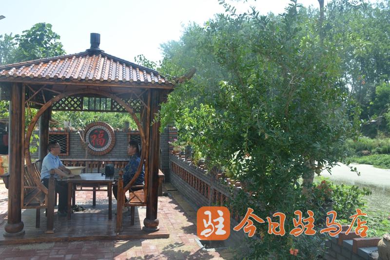 環境美 產業興 汝南張樓：跑出鄉村振興&ldquo;加速度&rdquo;