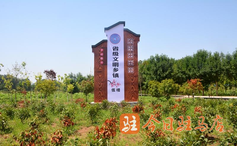 環境美 產業興 汝南張樓：跑出鄉村振興&ldquo;加速度&rdquo;