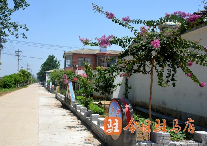 環境美 產業興 汝南張樓：跑出鄉村振興&ldquo;加速度&rdquo;