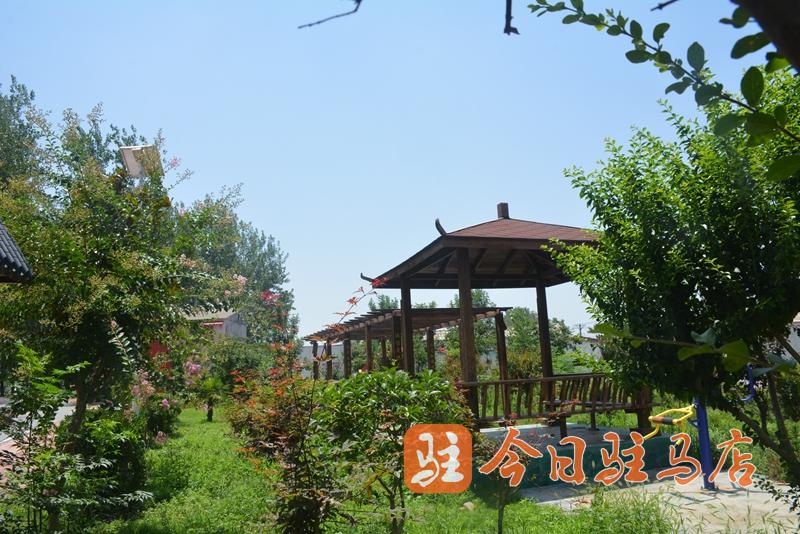 環境美 產業興 汝南張樓：跑出鄉村振興&ldquo;加速度&rdquo;