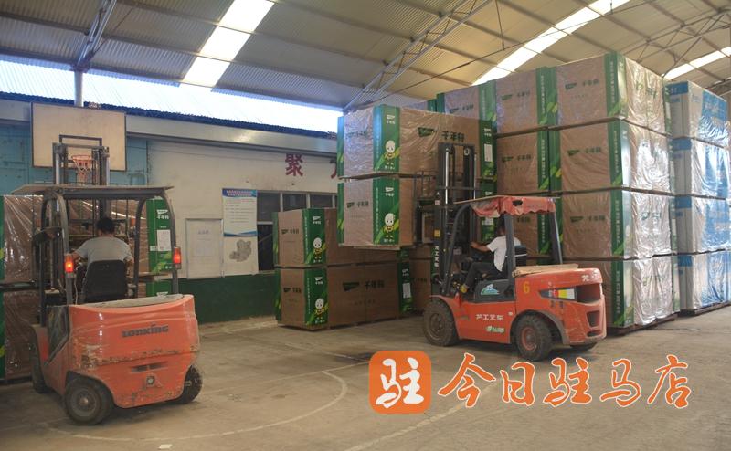 環境美 產業興 汝南張樓：跑出鄉村振興&ldquo;加速度&rdquo;