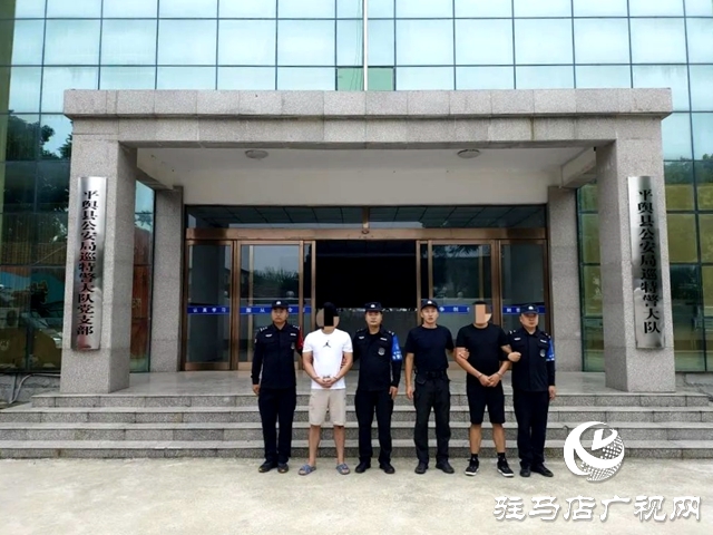 平輿縣公安局 “七個發力” 確保“百日行動”取得實效