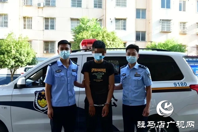 平輿縣公安局 “七個發力” 確保“百日行動”取得實效