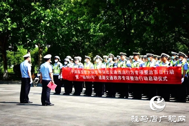 平輿縣公安局 “七個發力” 確保“百日行動”取得實效