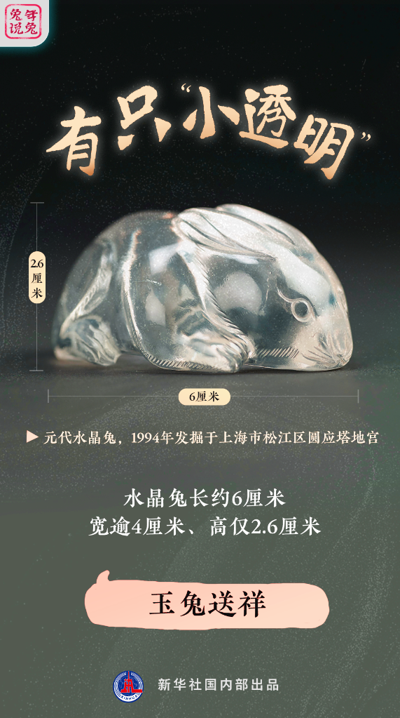 新年“兔”點啥？跨越時空，兔子們發來祝福！