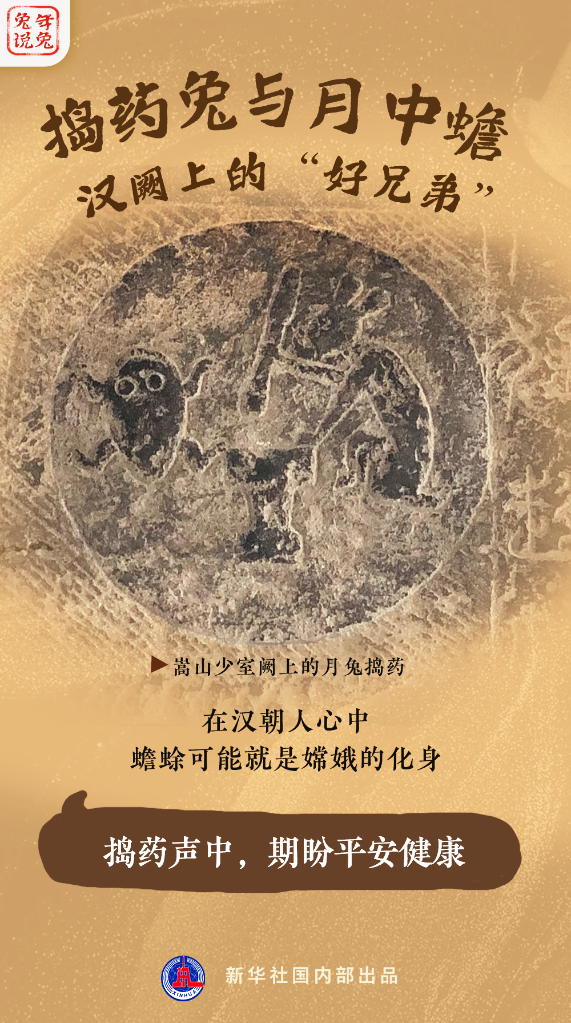 新年“兔”點啥？跨越時空，兔子們發來祝福！