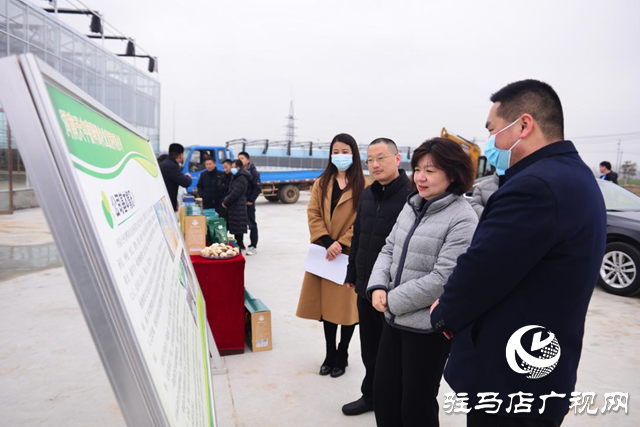 汝南縣：調研產業發展 助推鄉村振興