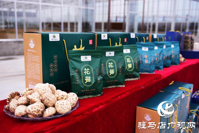 汝南縣：調研產業發展 助推鄉村振興