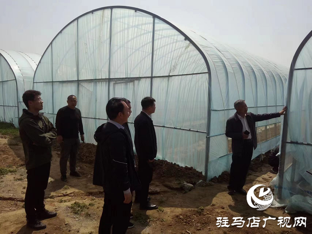 汝南：第一書記學習大棚種植 助力鄉村產業經濟發展