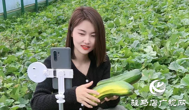 泌陽縣：瓜果梨桃繪就鄉村振興新畫卷