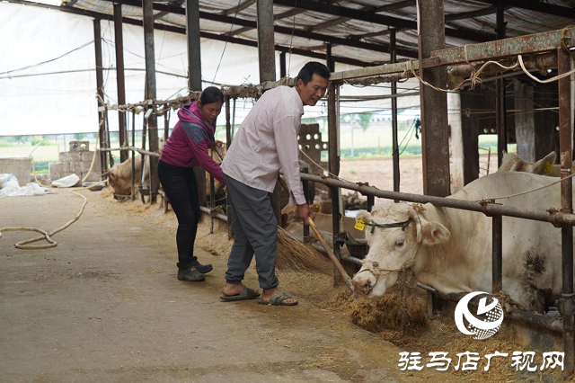 泌陽縣：產業興旺助民增收致富