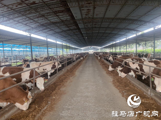 泌陽縣：產業興旺助民增收致富