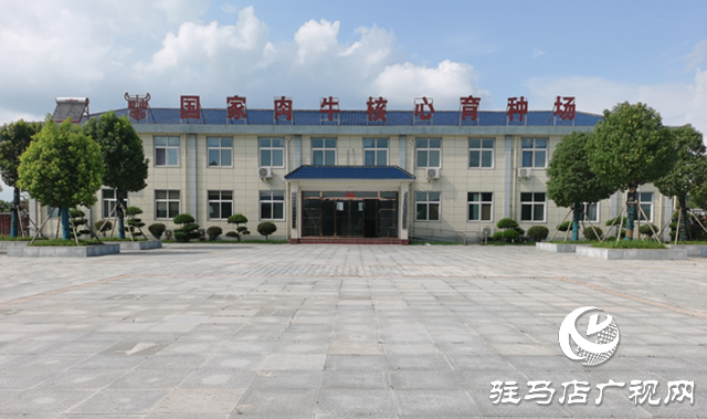 泌陽縣：依托特色產(chǎn)業(yè)撐起縣域經(jīng)濟發(fā)展“脊梁”