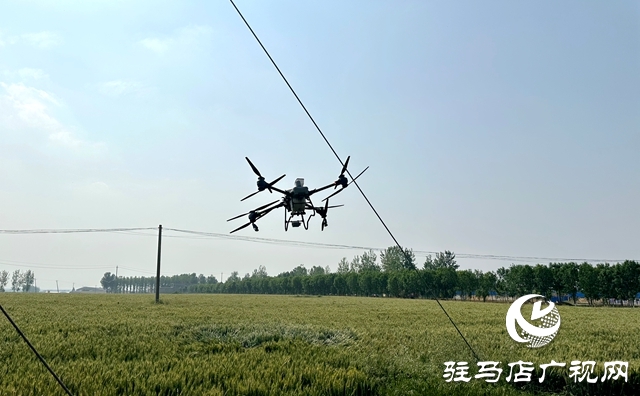 泌陽縣郭集鎮：利用無人機噴藥打牢夏糧豐產基礎